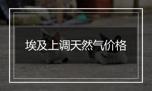 埃及上调天然气价格