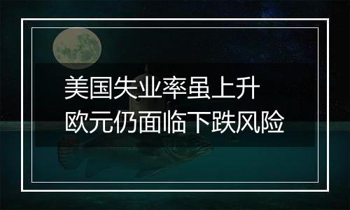 美国失业率虽上升 欧元仍面临下跌风险