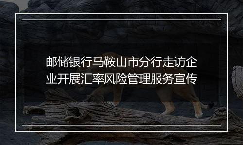 邮储银行马鞍山市分行走访企业开展汇率风险管理服务宣传