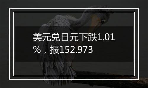 美元兑日元下跌1.01%,报152.973