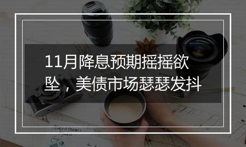 11月降息预期摇摇欲坠,美债市场瑟瑟发抖