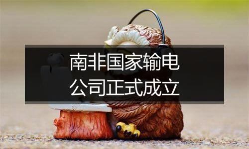 南非国家输电公司正式成立
