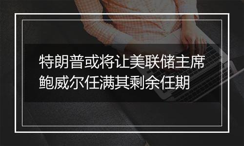 特朗普或将让美联储主席鲍威尔任满其剩余任期