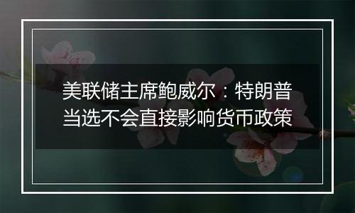 美联储主席鲍威尔:特朗普当选不会直接影响货币政策