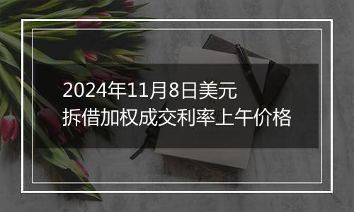 2024年11月8日美元拆借加权成交利率上午价格