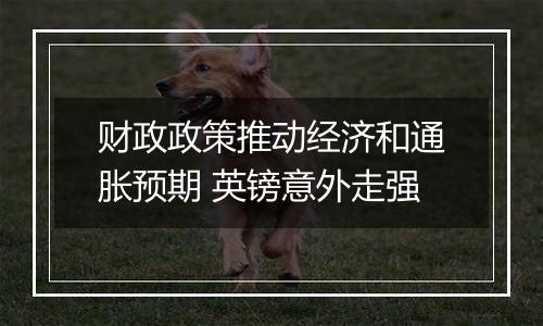 财政政策推动经济和通胀预期 英镑意外走强