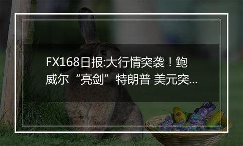FX168日报:大行情突袭！鲍威尔“亮剑”特朗普 美元突然大跌 金价暴涨47美元
