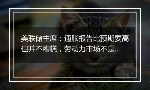 美联储主席:通胀报告比预期要高但并不糟糕,劳动力市场不是重大通胀压力的来源