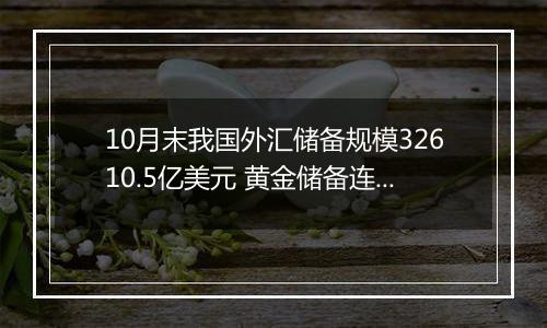 10月末我国外汇储备规模32610.5亿美元 黄金储备连续6个月不变