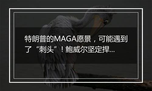 特朗普的MAGA愿景,可能遇到了“刺头”! 鲍威尔坚定捍卫美联储独立性