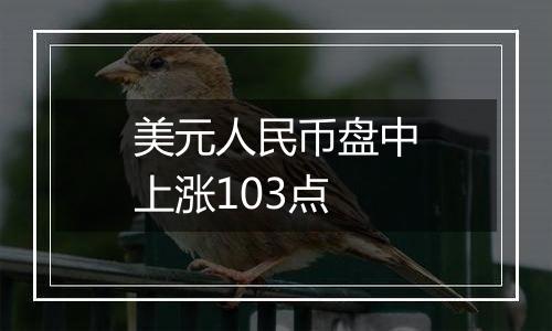 美元人民币盘中上涨103点