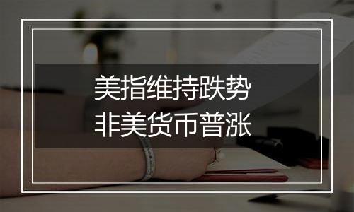美指维持跌势 非美货币普涨