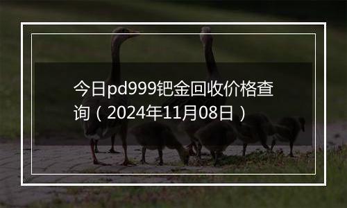 今日pd999钯金回收价格查询（2024年11月08日）