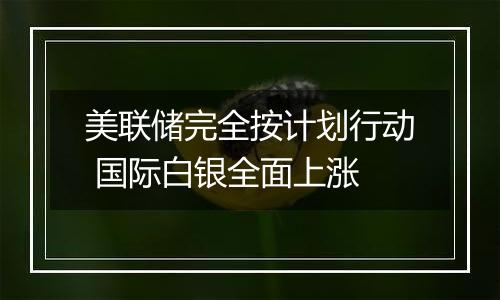美联储完全按计划行动 国际白银全面上涨