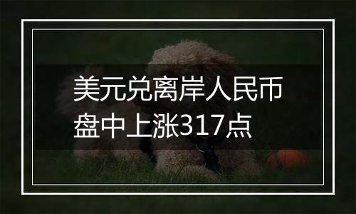 美元兑离岸人民币盘中上涨317点