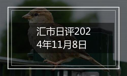 汇市日评2024年11月8日