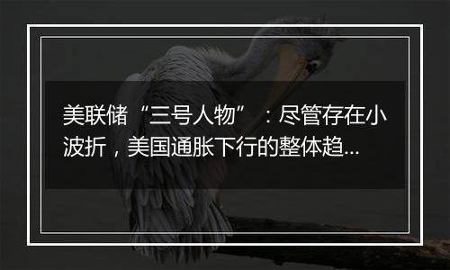美联储“三号人物”:尽管存在小波折,美国通胀下行的整体趋势仍相当稳固