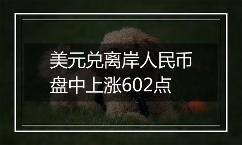美元兑离岸人民币盘中上涨602点