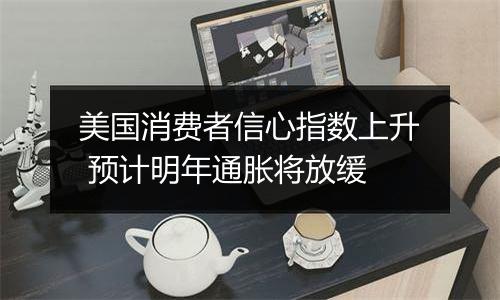 美国消费者信心指数上升 预计明年通胀将放缓