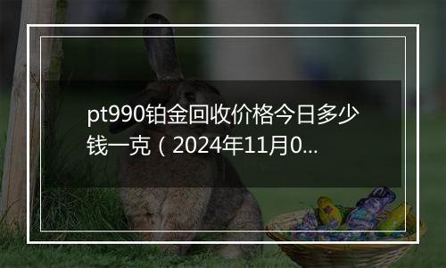 pt990铂金回收价格今日多少钱一克(2024年11月09日)