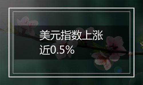 美元指数上涨近0.5%
