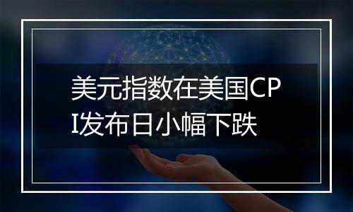美元指数在美国CPI发布日小幅下跌