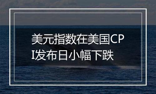 美元指数在美国CPI发布日小幅下跌
