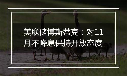 美联储博斯蒂克:对11月不降息保持开放态度