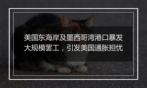 美国东海岸及墨西哥湾港口暴发大规模罢工,引发美国通胀担忧