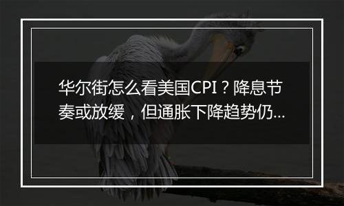 华尔街怎么看美国CPI?降息节奏或放缓,但通胀下降趋势仍未变