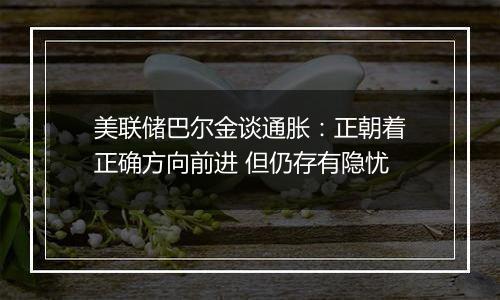 美联储巴尔金谈通胀:正朝着正确方向前进 但仍存有隐忧