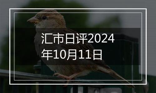 汇市日评2024年10月11日