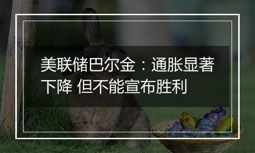 美联储巴尔金:通胀显著下降 但不能宣布胜利