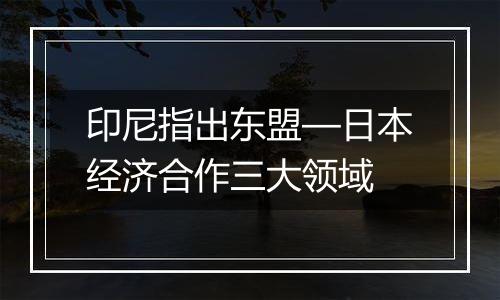 印尼指出东盟—日本经济合作三大领域