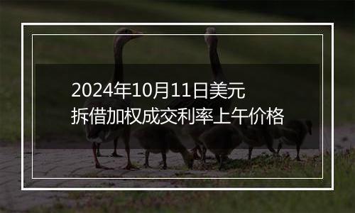 2024年10月11日美元拆借加权成交利率上午价格