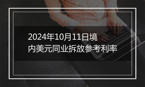 2024年10月11日境内美元同业拆放参考利率