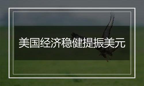 美国经济稳健提振美元