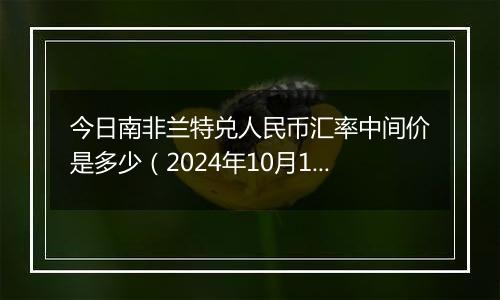 今日南非兰特兑人民币汇率中间价是多少(2024年10月11日)