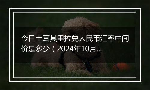 今日土耳其里拉兑人民币汇率中间价是多少(2024年10月11日)