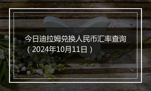 今日迪拉姆兑换人民币汇率查询（2024年10月11日）