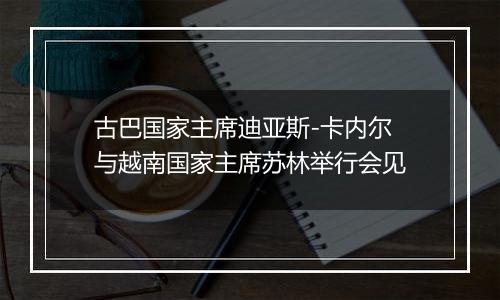 古巴国家主席迪亚斯-卡内尔与越南国家主席苏林举行会见