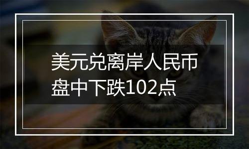 美元兑离岸人民币盘中下跌102点