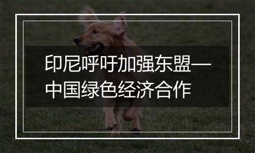 印尼呼吁加强东盟—中国绿色经济合作