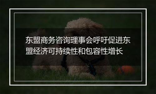 东盟商务咨询理事会呼吁促进东盟经济可持续性和包容性增长