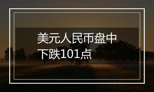 美元人民币盘中下跌101点