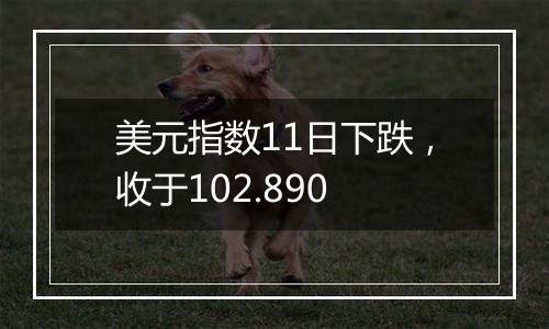 美元指数11日下跌,收于102.890