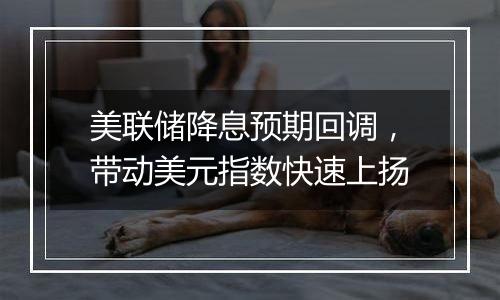 美联储降息预期回调,带动美元指数快速上扬