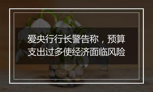 爱央行行长警告称,预算支出过多使经济面临风险