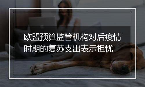 欧盟预算监管机构对后疫情时期的复苏支出表示担忧