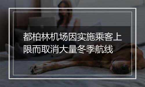 都柏林机场因实施乘客上限而取消大量冬季航线
